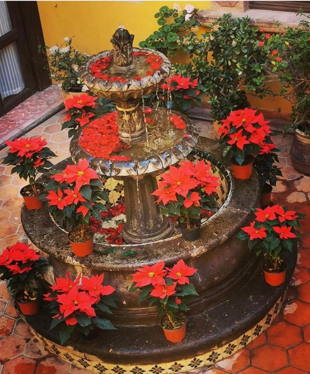 Casa Rosario Centro Hotel San Miguel de Allende Eksteriør billede
